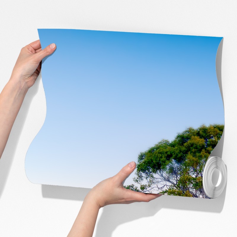 Fototapeta samotne drzewo nad spokojnym jeziorem – Wallissimo® Fototapeta samotne drzewo nad spokojnym jeziorem – Wallissimo®