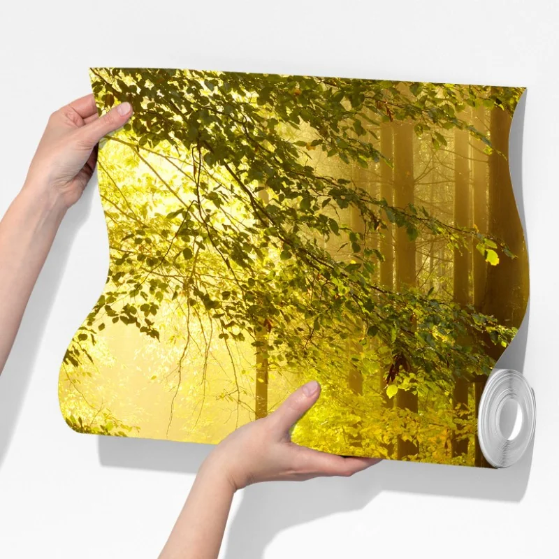 Fototapeta słoneczna leśna ścieżka jesienią – Wallissimo® Fototapeta słoneczna leśna ścieżka jesienią – Wallissimo®