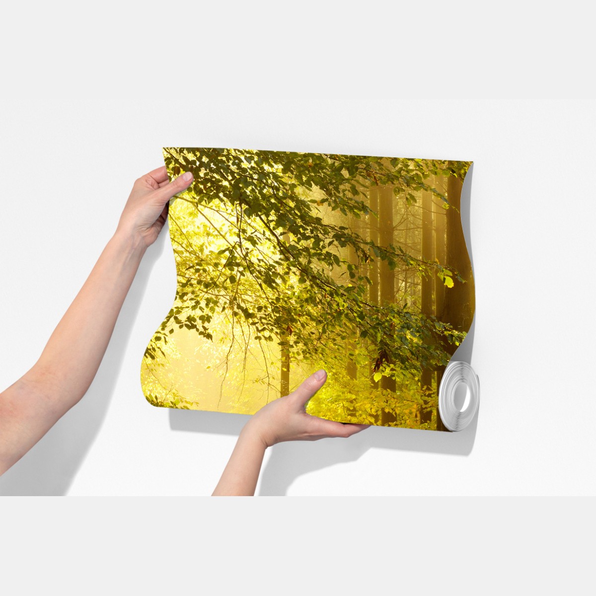 Fototapeta słoneczna leśna ścieżka jesienią – Wallissimo® Fototapeta słoneczna leśna ścieżka jesienią – Wallissimo®