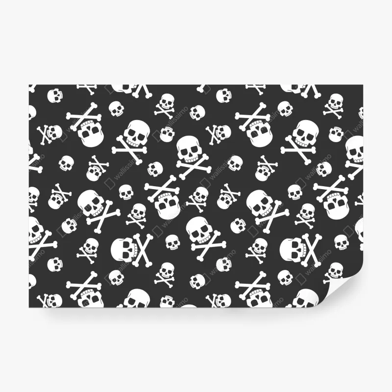 Fototapeta mglisty iglasty las – Wallissimo®