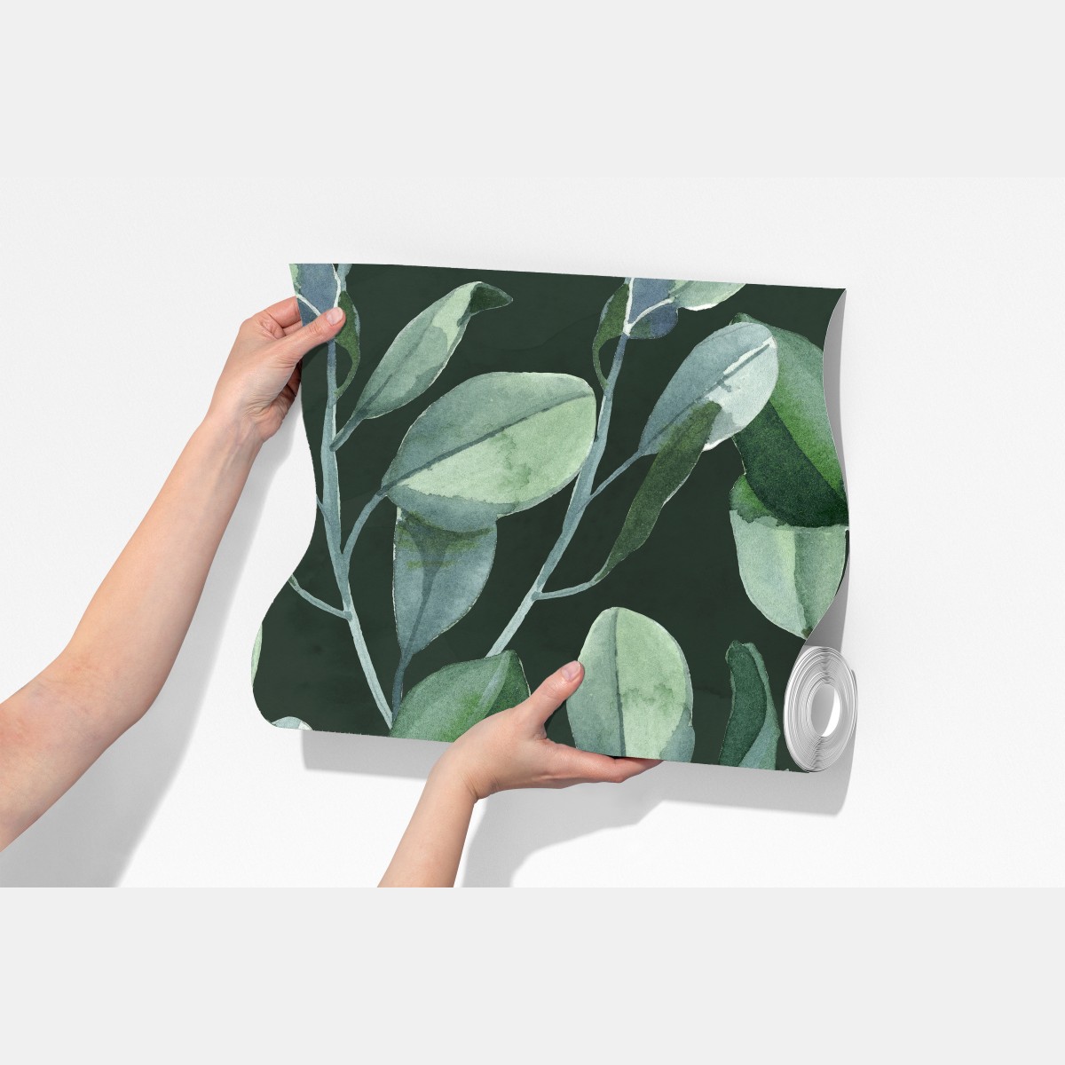 Fototapeta wzór akwarelowy z liśćmi eukaliptusa na ciemnozielonym tle – Wallissimo® Fototapeta wzór akwarelowy z liśćmi eukaliptusa na ciemnozielonym tle – Wallissimo®