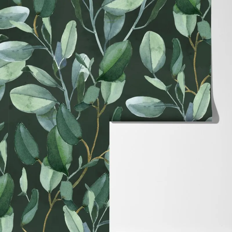 Fototapeta wzór akwarelowy z liśćmi eukaliptusa na ciemnozielonym tle – Wallissimo® Fototapeta wzór akwarelowy z liśćmi eukaliptusa na ciemnozielonym tle – Wallissimo®