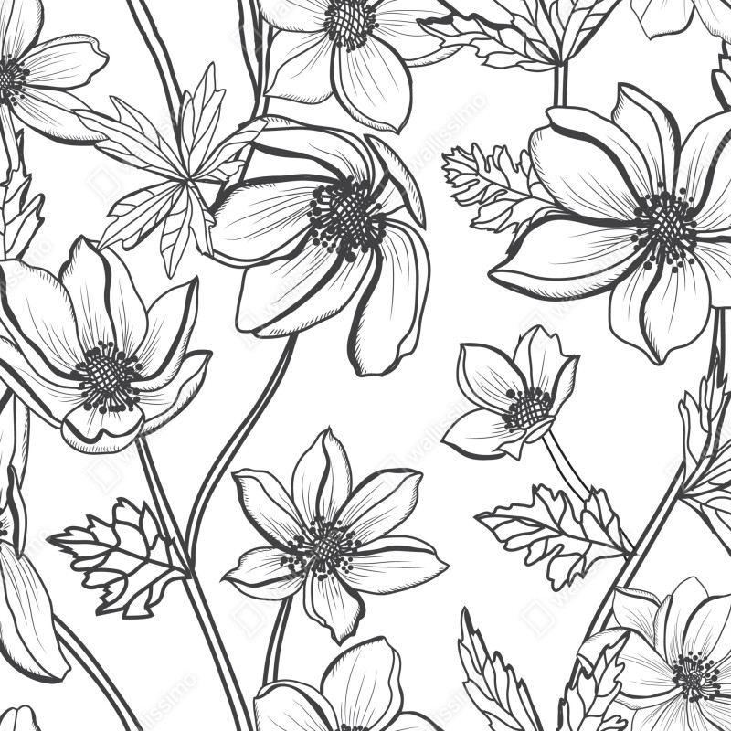 Fototapeta botaniczny rysunek kwiatowy – Wallissimo® Fototapeta botaniczny rysunek kwiatowy – Wallissimo®