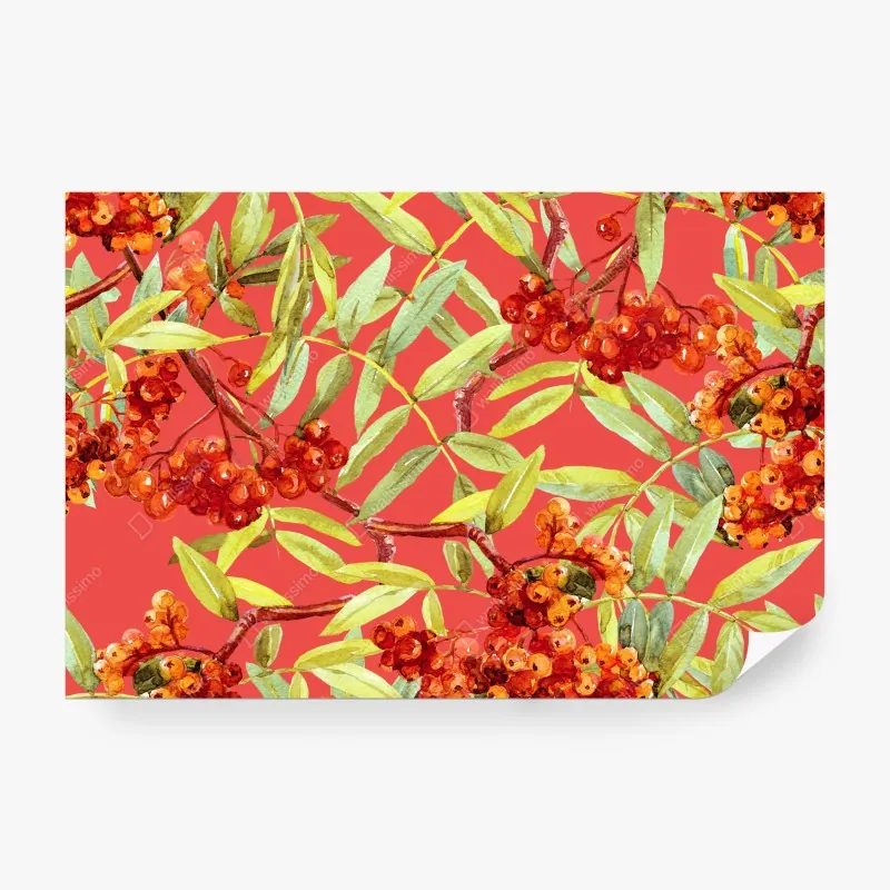 Wall mural watercolor rowan berries pattern