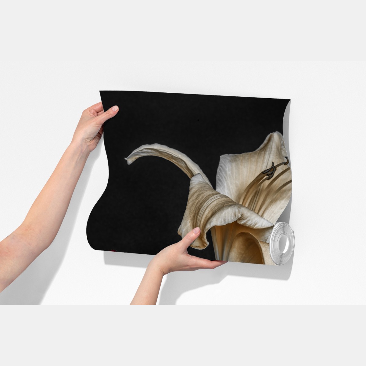 Fototapeta dramatyczne czerwone i kremowe lilie na czarnym tle – Wallissimo® Fototapeta dramatyczne czerwone i kremowe lilie na czarnym tle – Wallissimo®