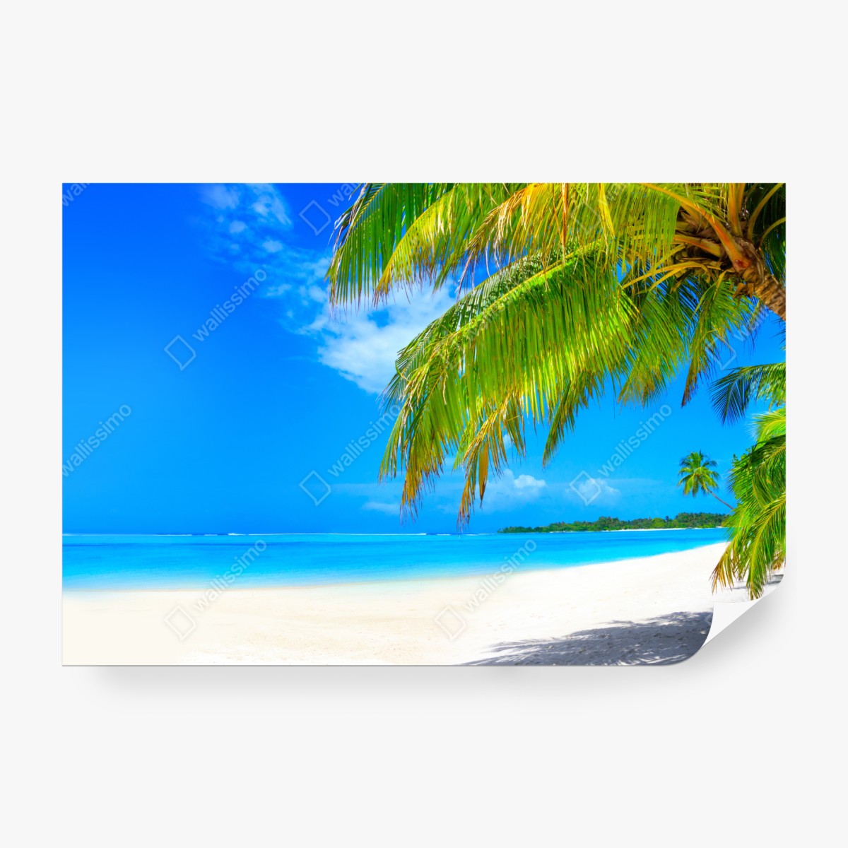 Fototapeta tropikalna turkusowa plaża – Wallissimo® Fototapeta tropikalna turkusowa plaża – Wallissimo®