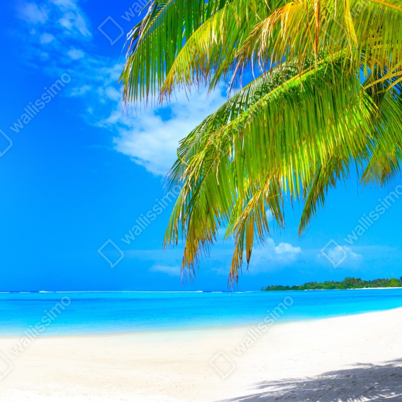 Fototapeta tropikalna turkusowa plaża – Wallissimo® Fototapeta tropikalna turkusowa plaża – Wallissimo®