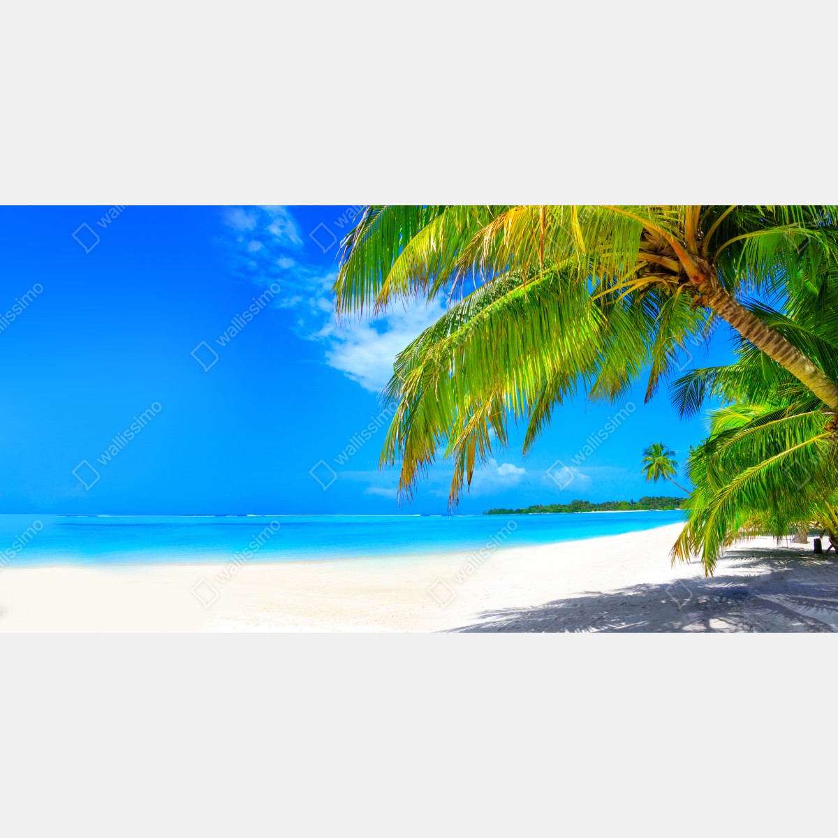 Fototapeta tropikalna turkusowa plaża – Wallissimo® Fototapeta tropikalna turkusowa plaża – Wallissimo®