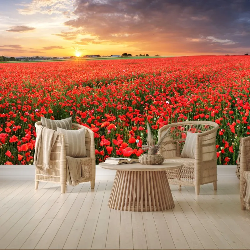 Fototapeta pole maków o zachodzie słońca – Wallissimo® Fototapeta pole maków o zachodzie słońca – Wallissimo®