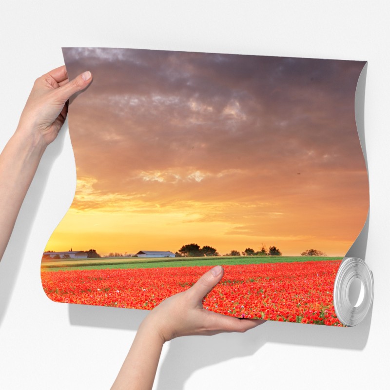 Fototapeta pole maków o zachodzie słońca – Wallissimo® Fototapeta pole maków o zachodzie słońca – Wallissimo®