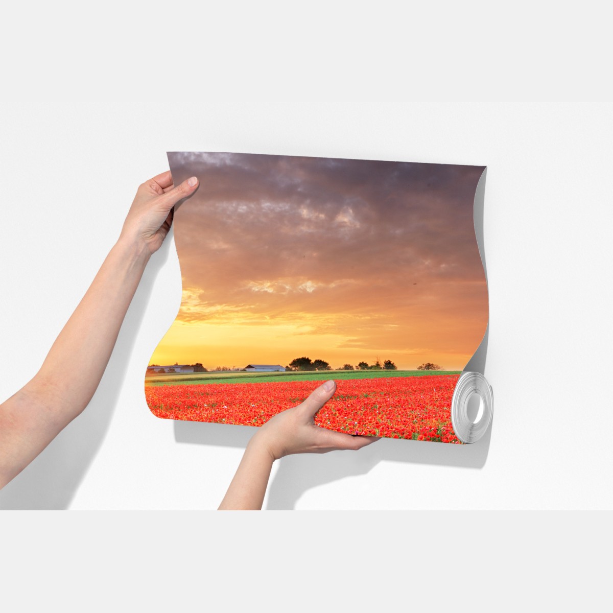 Fototapeta pole maków o zachodzie słońca – Wallissimo® Fototapeta pole maków o zachodzie słońca – Wallissimo®