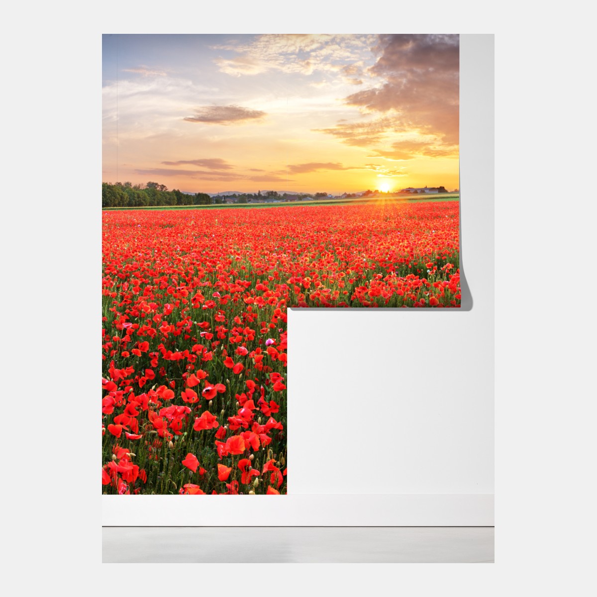 Fototapeta pole maków o zachodzie słońca – Wallissimo® Fototapeta pole maków o zachodzie słońca – Wallissimo®