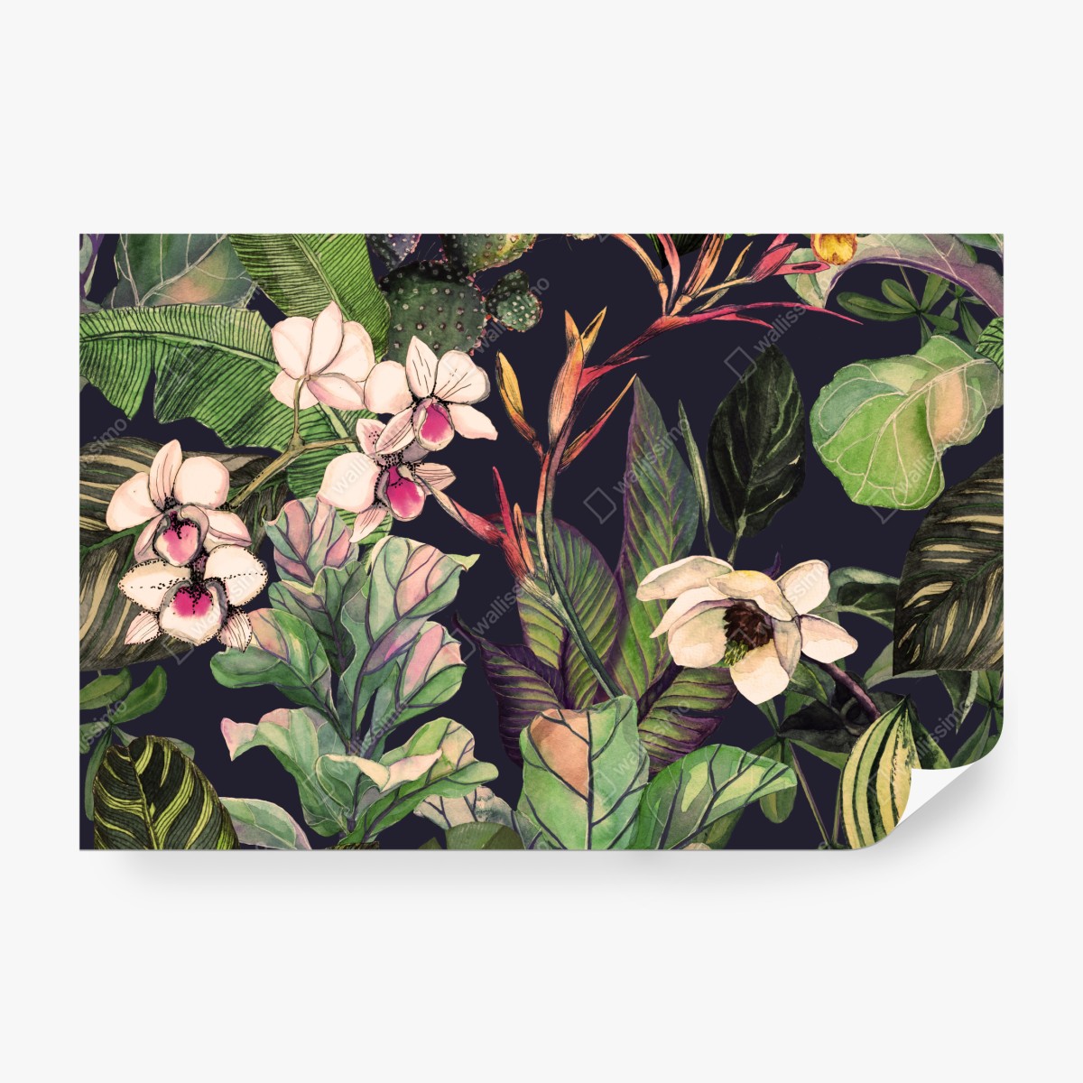 Fototapeta tropikalny akwarelowy wzór botaniczny – Wallissimo® Fototapeta tropikalny akwarelowy wzór botaniczny – Wallissimo®