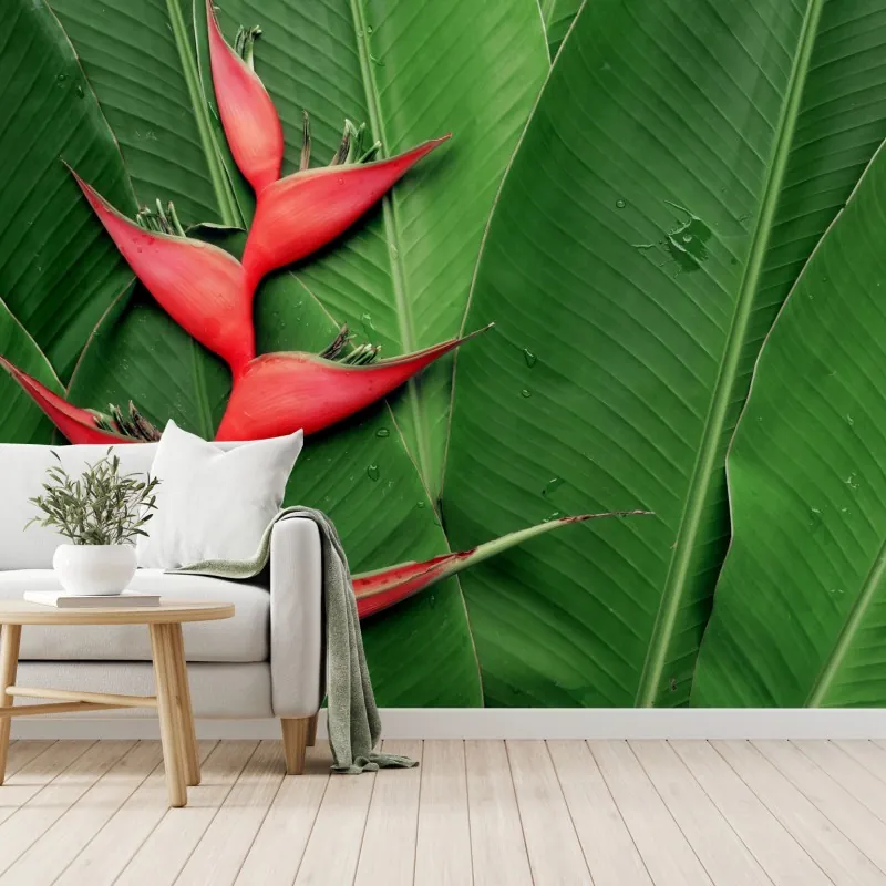 Wall mural vibrant heliconia on tropical leaves