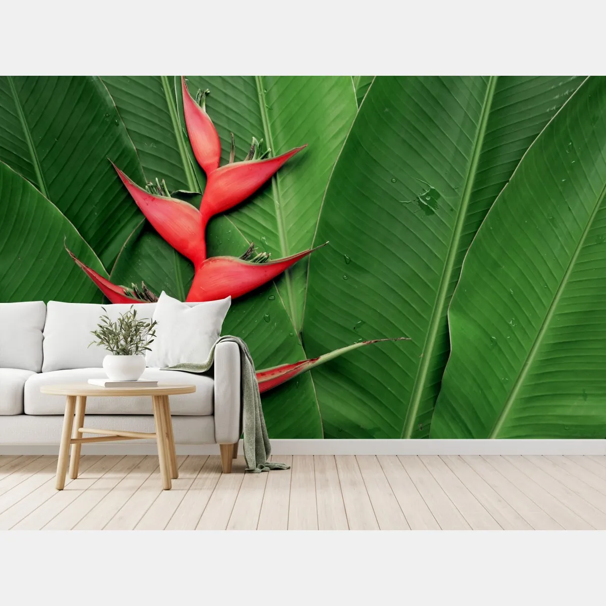 Fototapeta intensywna heliconia na tropikalnych liściach – Wallissimo® Fototapeta intensywna heliconia na tropikalnych liściach – Wallissimo®