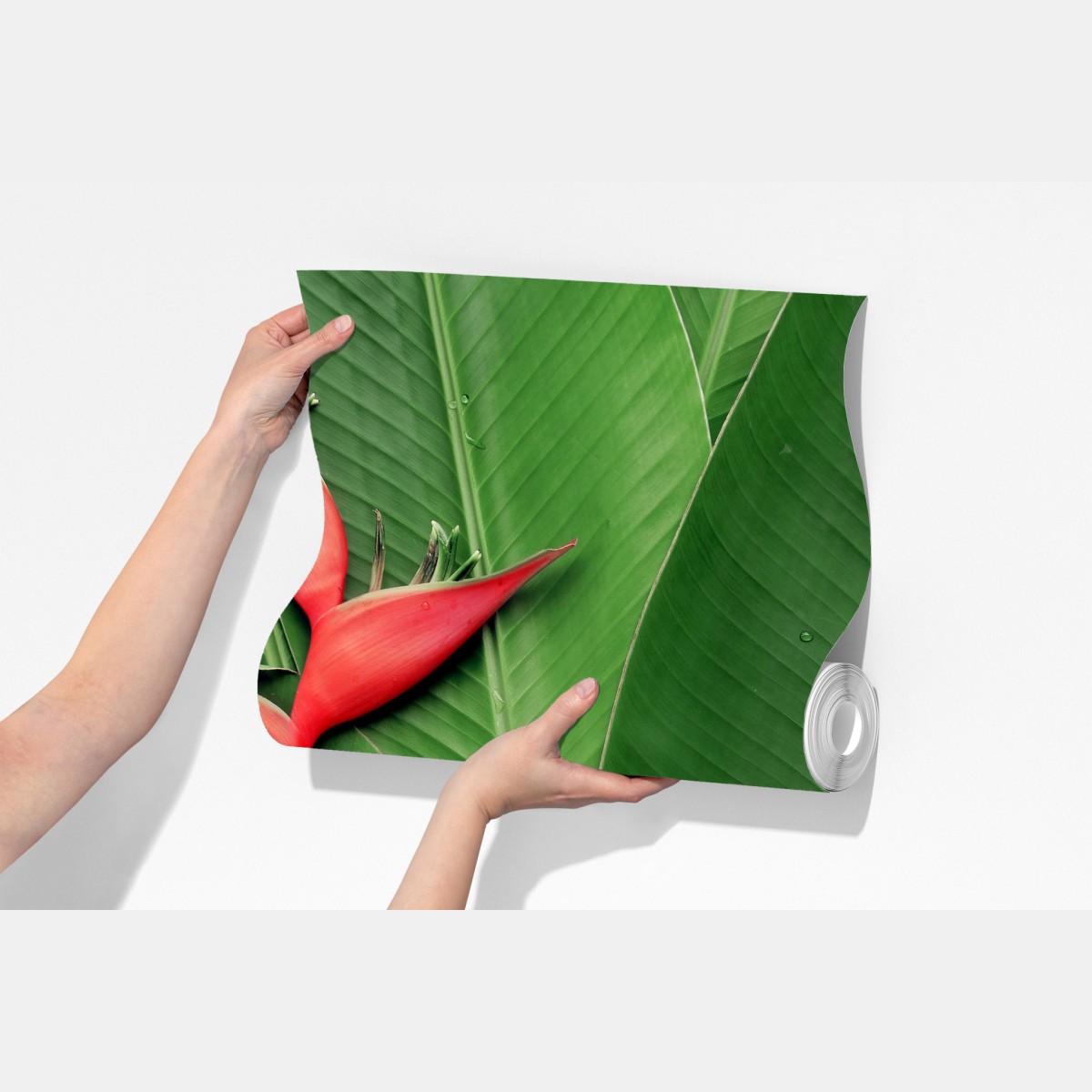 Fototapeta intensywna heliconia na tropikalnych liściach – Wallissimo® Fototapeta intensywna heliconia na tropikalnych liściach – Wallissimo®