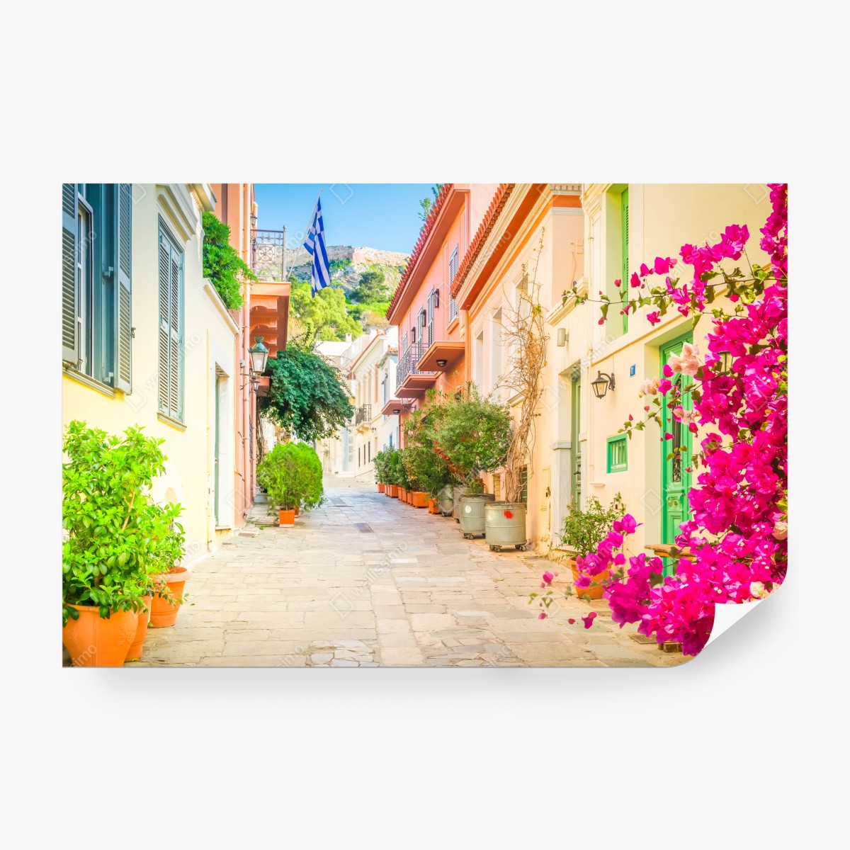 Fototapeta słoneczna grecka uliczka z bougainvilleą – Wallissimo® Fototapeta słoneczna grecka uliczka z bougainvilleą – Wallissimo®