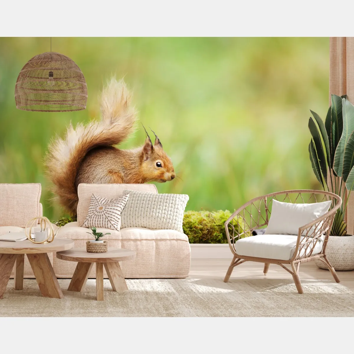Fototapeta ruda wiewiórka na mchu – Wallissimo® Fototapeta ruda wiewiórka na mchu – Wallissimo®