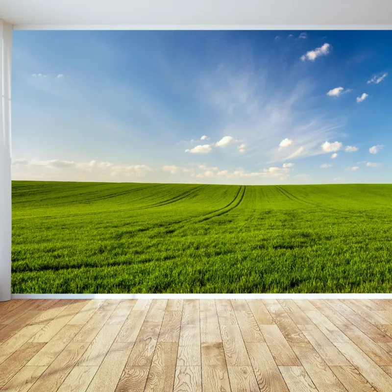 Fototapeta wiosenna zielona panorama łąki – Wallissimo® Fototapeta wiosenna zielona panorama łąki – Wallissimo®