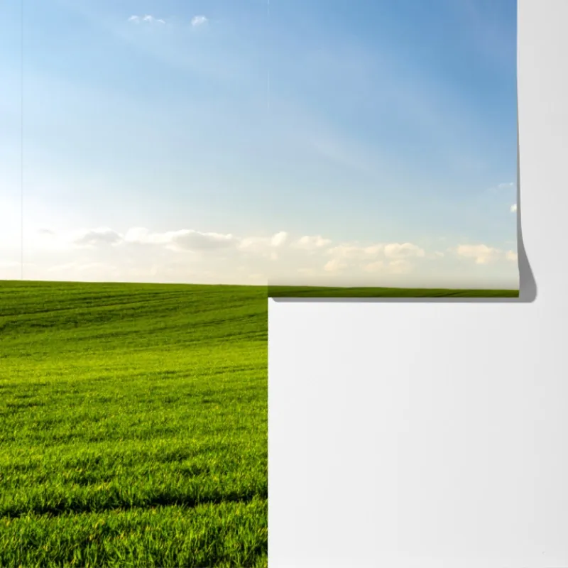 Fototapeta wiosenna zielona panorama łąki – Wallissimo® Fototapeta wiosenna zielona panorama łąki – Wallissimo®