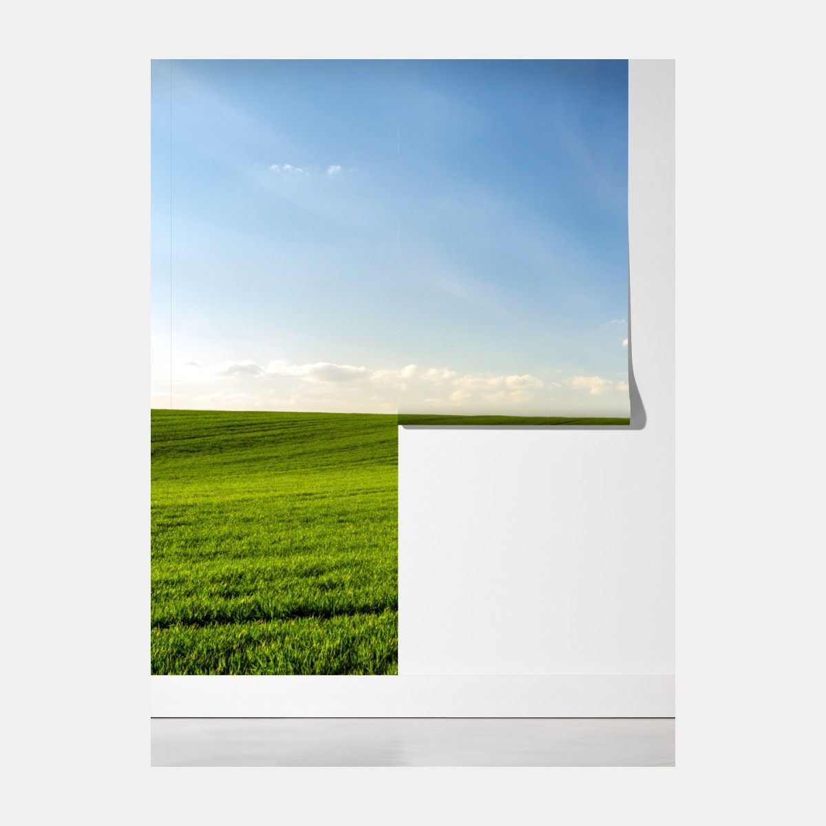 Fototapeta wiosenna zielona panorama łąki – Wallissimo® Fototapeta wiosenna zielona panorama łąki – Wallissimo®