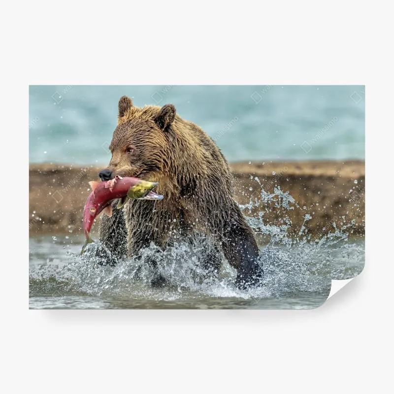 Fototapeta zachód słońca nad jeziorem z łodzią przy pomoście – Wallissimo®