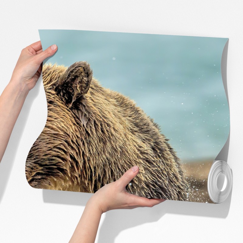 Fototapeta niedźwiedź łapiący łososia w rzece – Wallissimo® Fototapeta niedźwiedź łapiący łososia w rzece – Wallissimo®