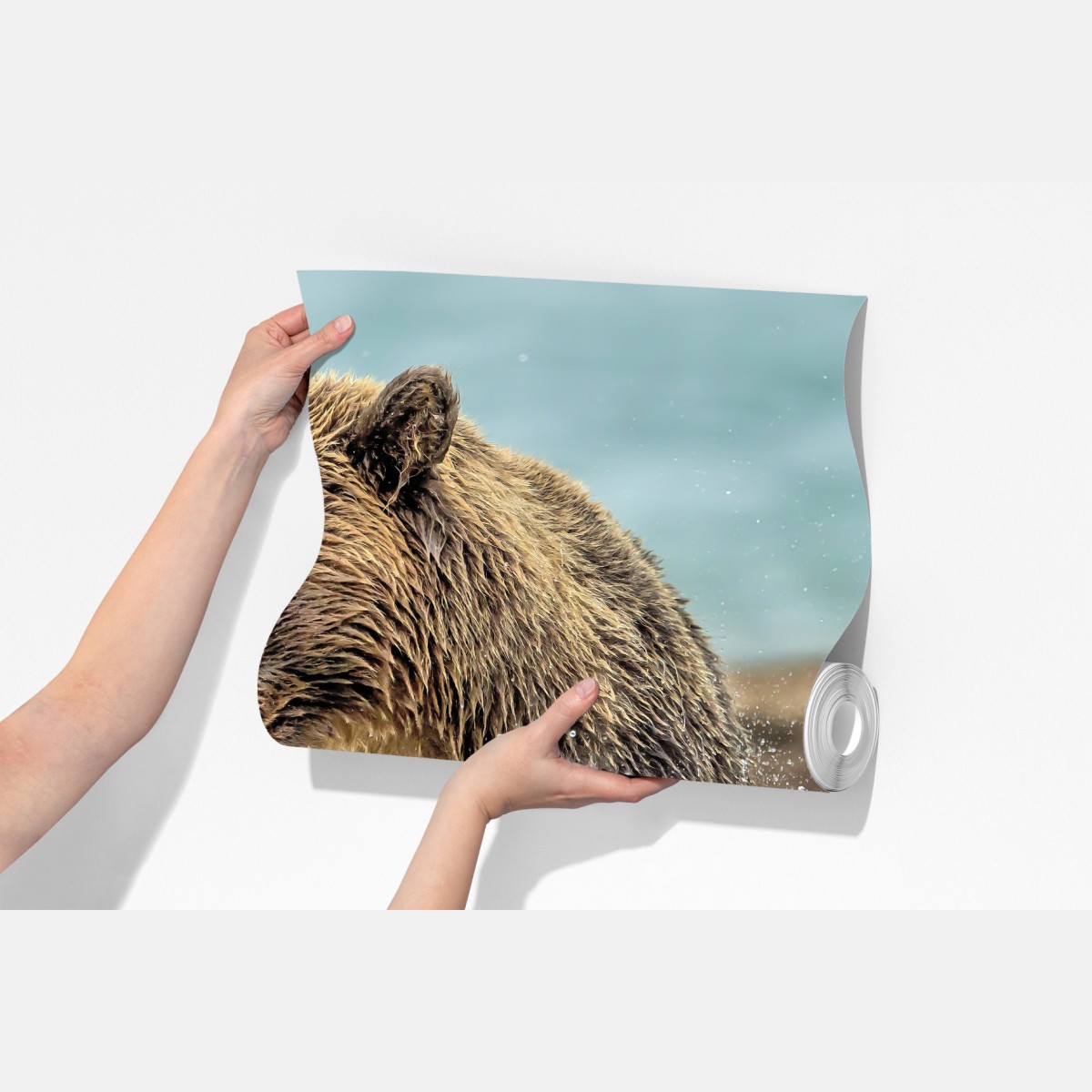 Fototapeta niedźwiedź łapiący łososia w rzece – Wallissimo® Fototapeta niedźwiedź łapiący łososia w rzece – Wallissimo®