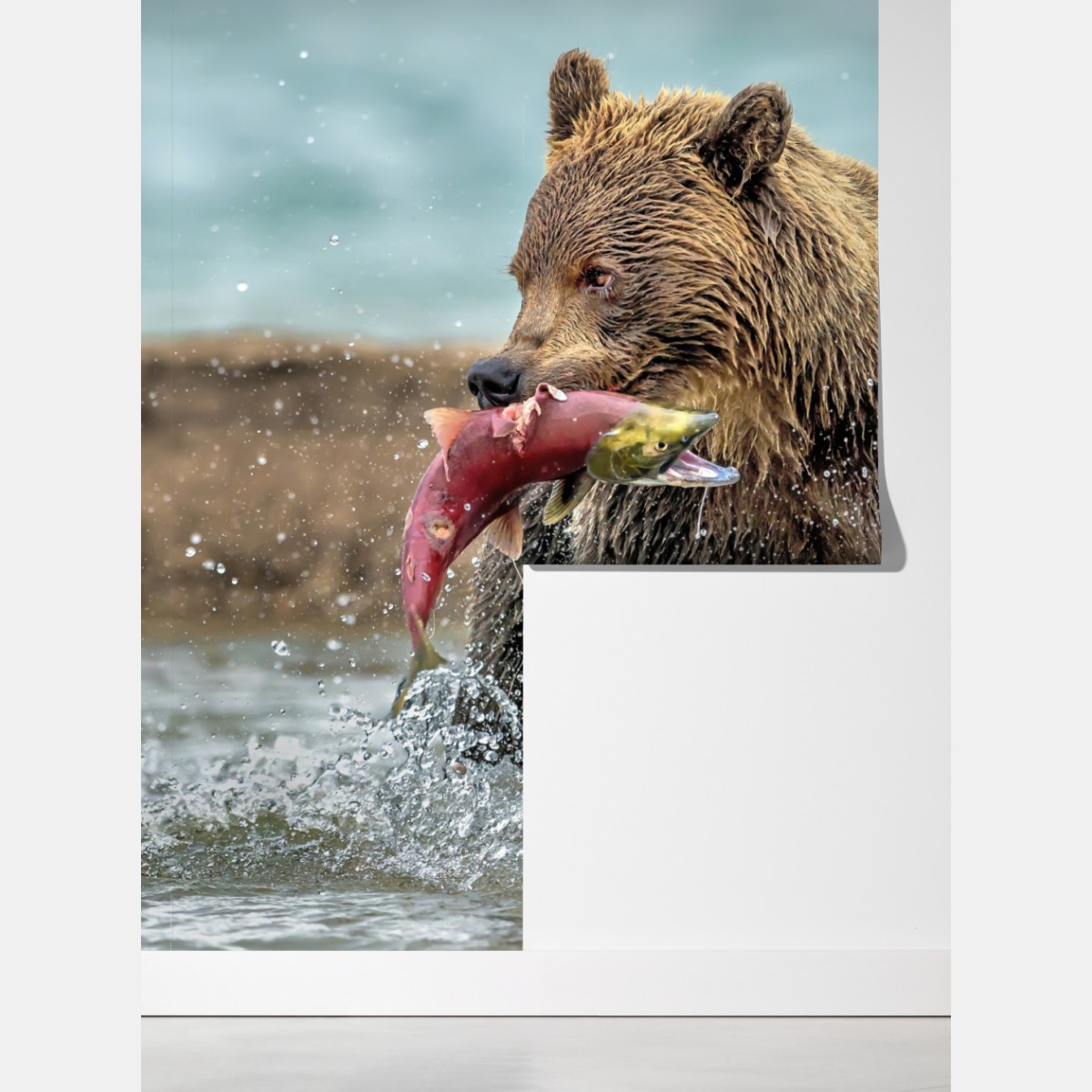 Fototapeta niedźwiedź łapiący łososia w rzece – Wallissimo® Fototapeta niedźwiedź łapiący łososia w rzece – Wallissimo®