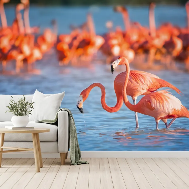 Wall mural graceful flamingos in shallow water