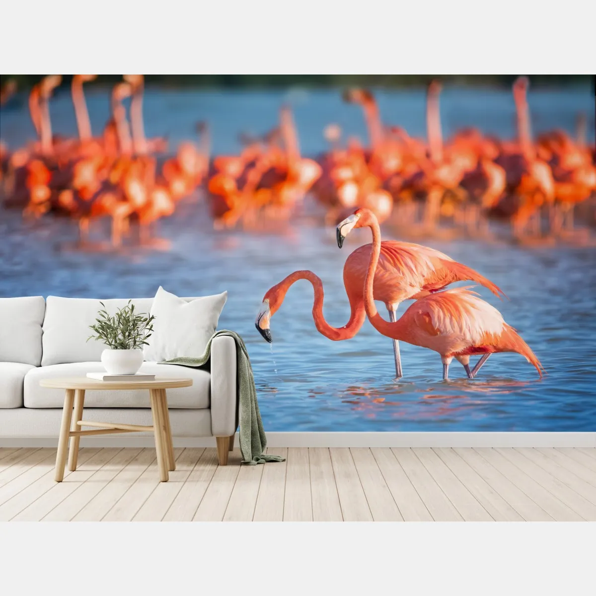 Fototapeta wdzięczne flamingi w płytkiej wodzie – Wallissimo® Fototapeta wdzięczne flamingi w płytkiej wodzie – Wallissimo®