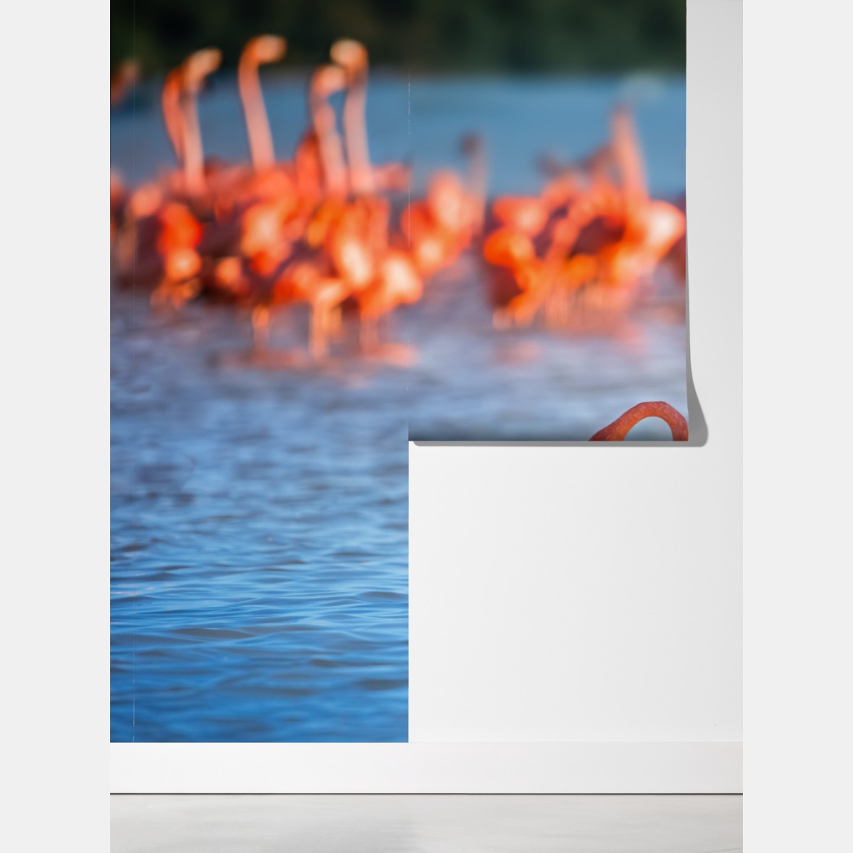 Fototapeta wdzięczne flamingi w płytkiej wodzie – Wallissimo® Fototapeta wdzięczne flamingi w płytkiej wodzie – Wallissimo®