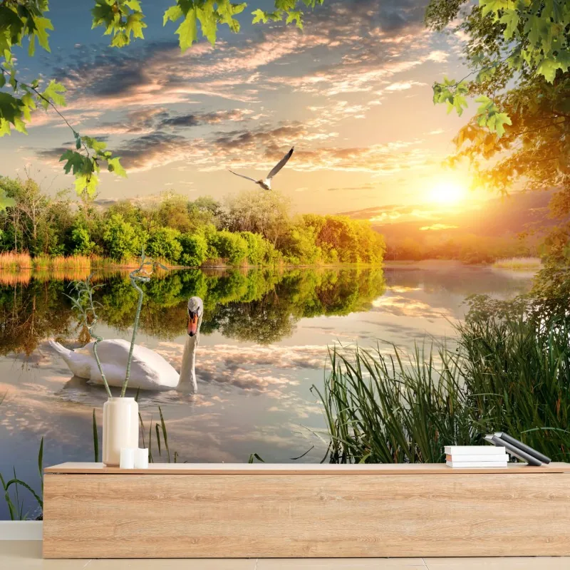 Wall mural sunset swan on tranquil lake