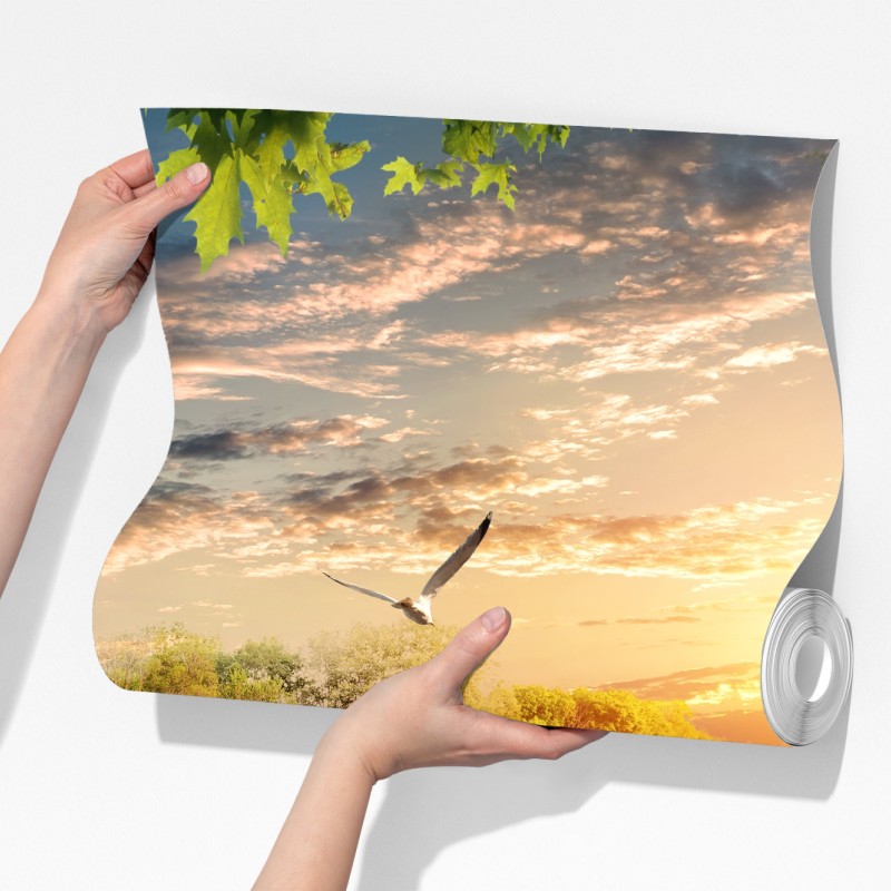 Fototapeta zachód słońca z łabędziem nad jeziorem – Wallissimo® Fototapeta zachód słońca z łabędziem nad jeziorem – Wallissimo®