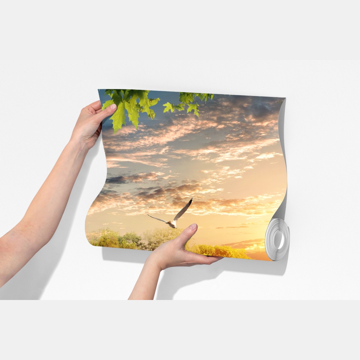 Fototapeta zachód słońca z łabędziem nad jeziorem – Wallissimo® Fototapeta zachód słońca z łabędziem nad jeziorem – Wallissimo®