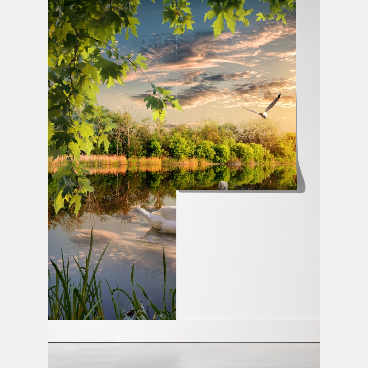 Fototapeta zachód słońca z łabędziem nad jeziorem – Wallissimo® Fototapeta zachód słońca z łabędziem nad jeziorem – Wallissimo®