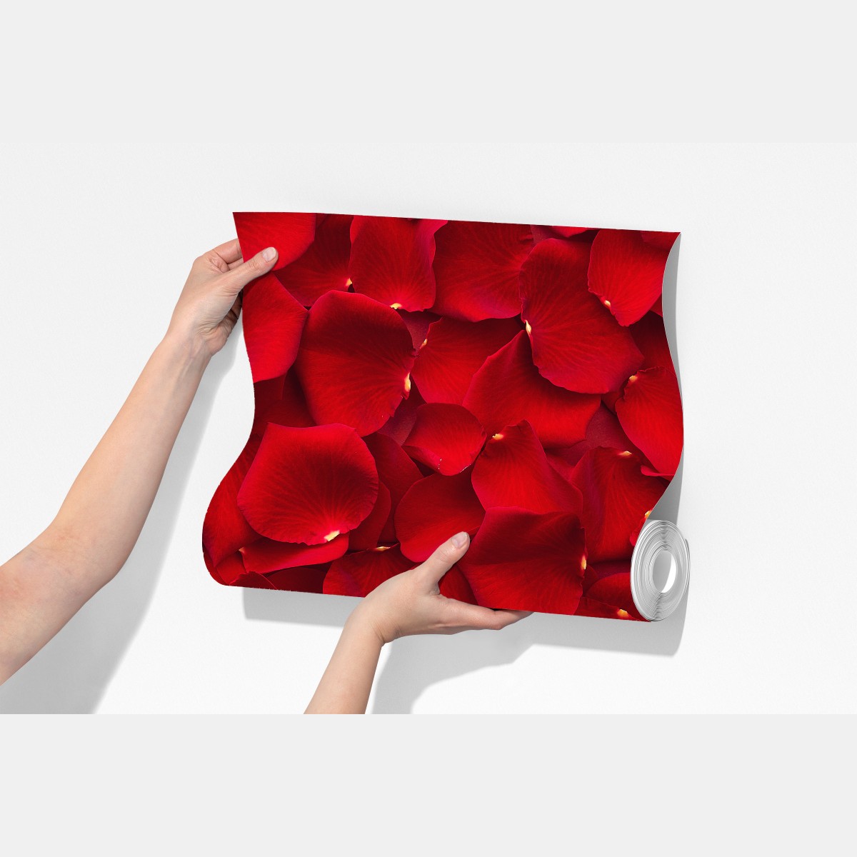 Fototapeta czerwone płatki róż tło – Wallissimo® Fototapeta czerwone płatki róż tło – Wallissimo®