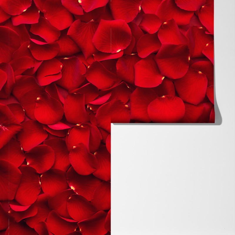 Fototapeta czerwone płatki róż tło – Wallissimo® Fototapeta czerwone płatki róż tło – Wallissimo®