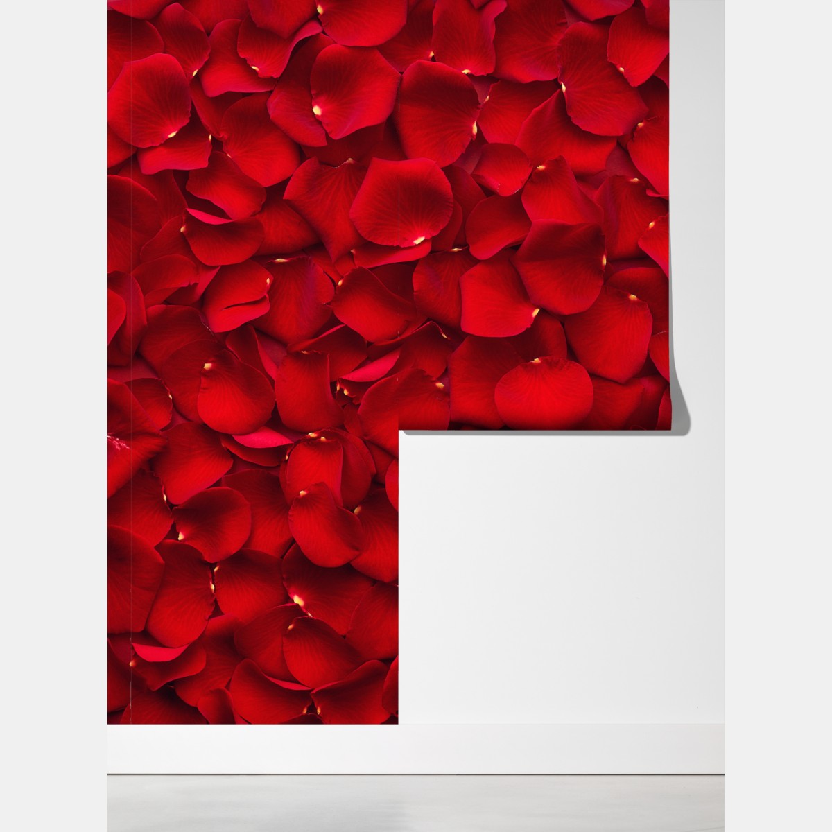 Fototapeta czerwone płatki róż tło – Wallissimo® Fototapeta czerwone płatki róż tło – Wallissimo®