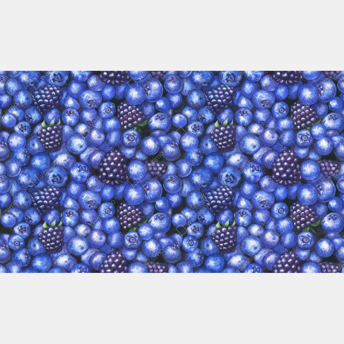 Fototapeta wzór akwarelowy z borówkami i jeżynami – Wallissimo® Fototapeta wzór akwarelowy z borówkami i jeżynami – Wallissimo®