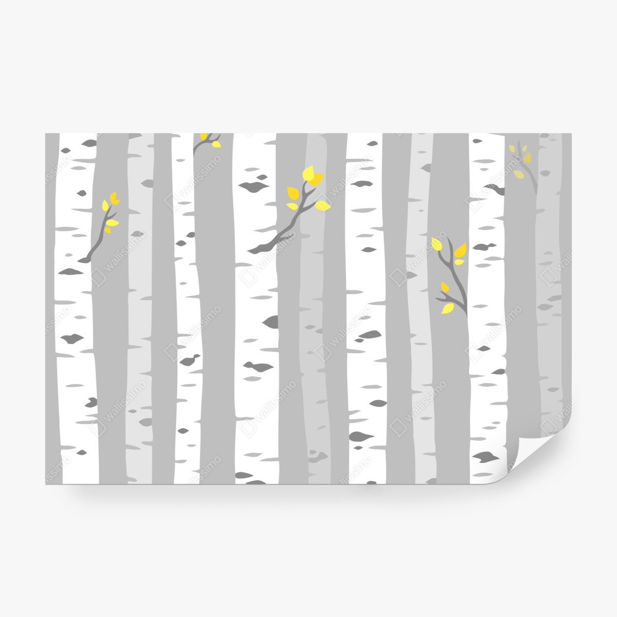 Fototapeta skandynawski las brzóz – Wallissimo® Fototapeta skandynawski las brzóz – Wallissimo®