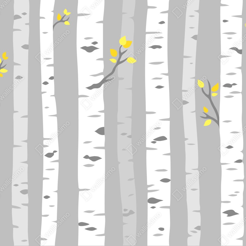 Fototapeta skandynawski las brzóz – Wallissimo® Fototapeta skandynawski las brzóz – Wallissimo®