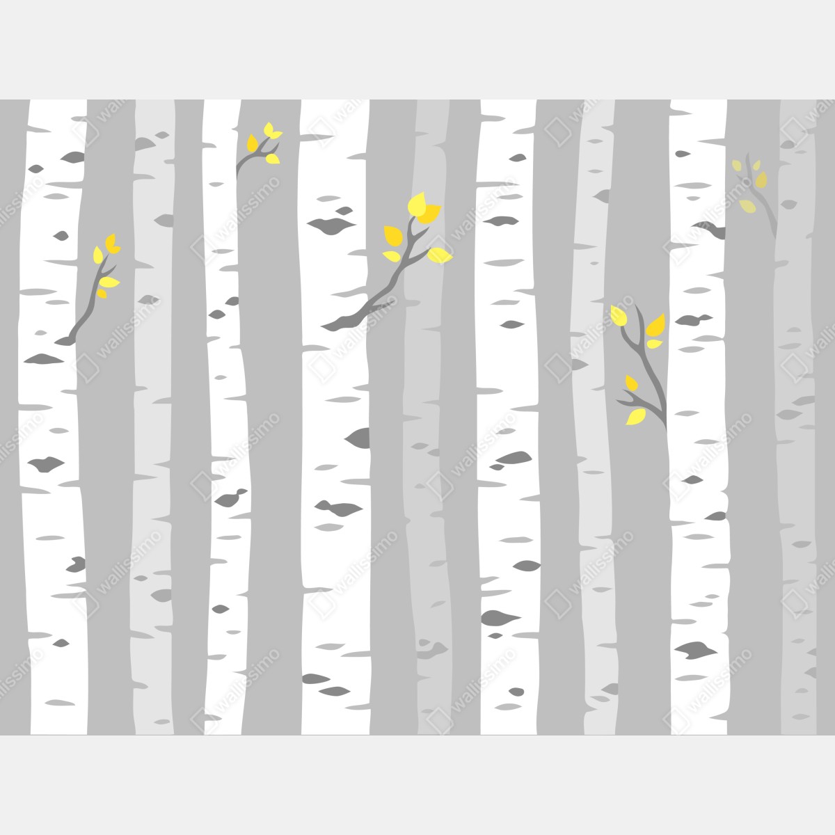 Fototapeta skandynawski las brzóz – Wallissimo® Fototapeta skandynawski las brzóz – Wallissimo®