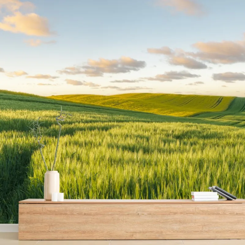 Wall mural serene green meadow panorama