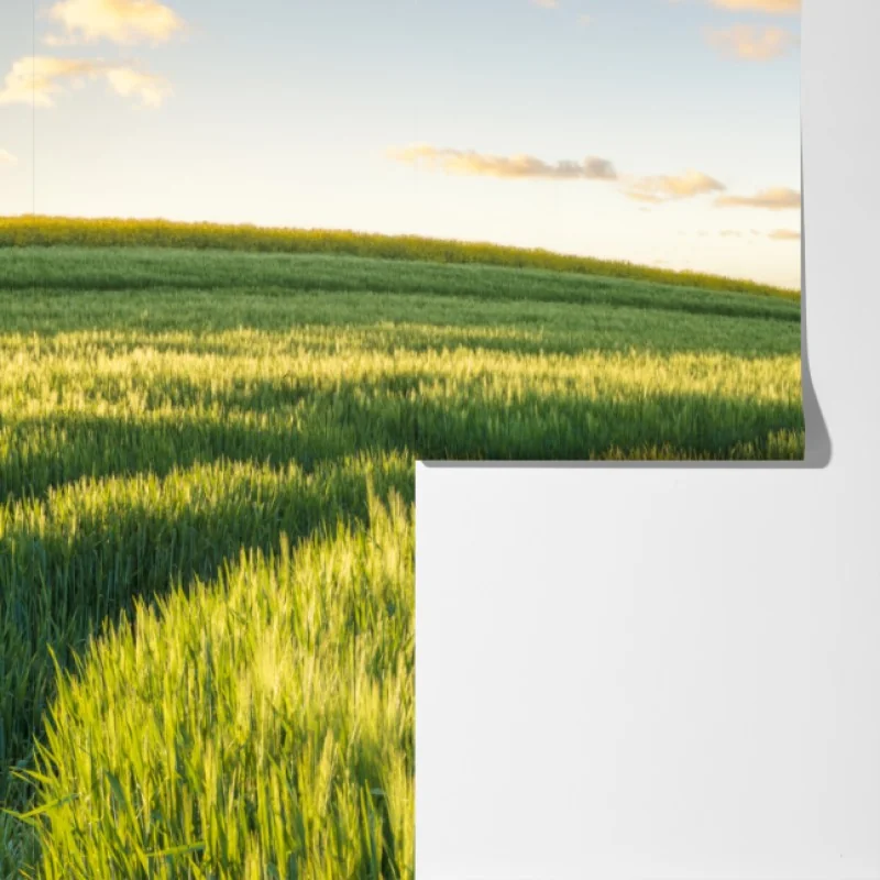 Fototapeta spokojna zielona łąka panorama – Wallissimo® Fototapeta spokojna zielona łąka panorama – Wallissimo®