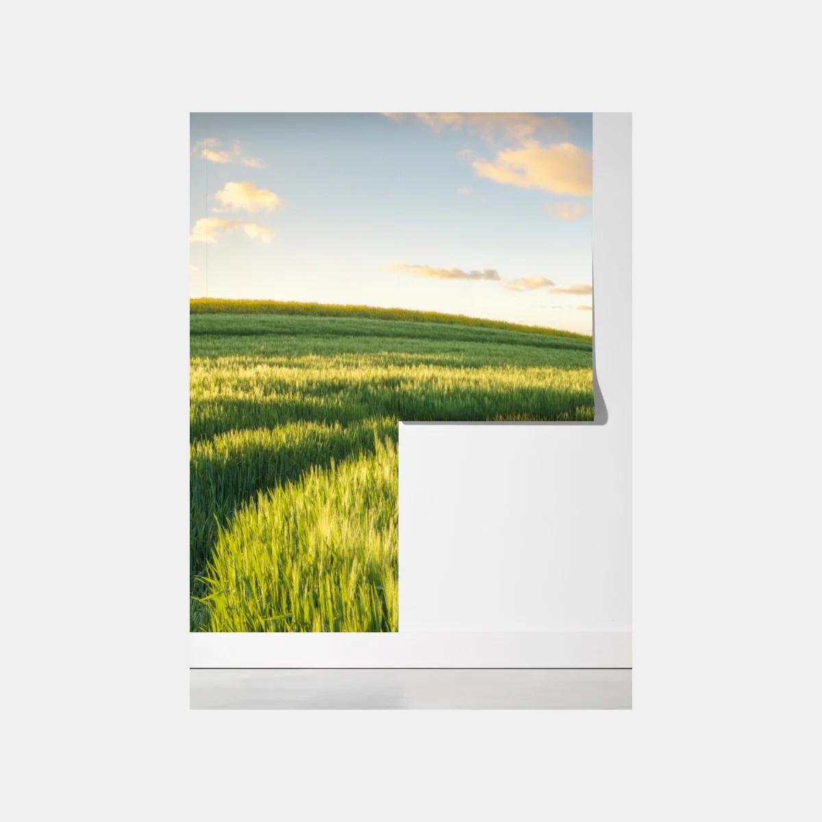 Fototapeta spokojna zielona łąka panorama – Wallissimo® Fototapeta spokojna zielona łąka panorama – Wallissimo®