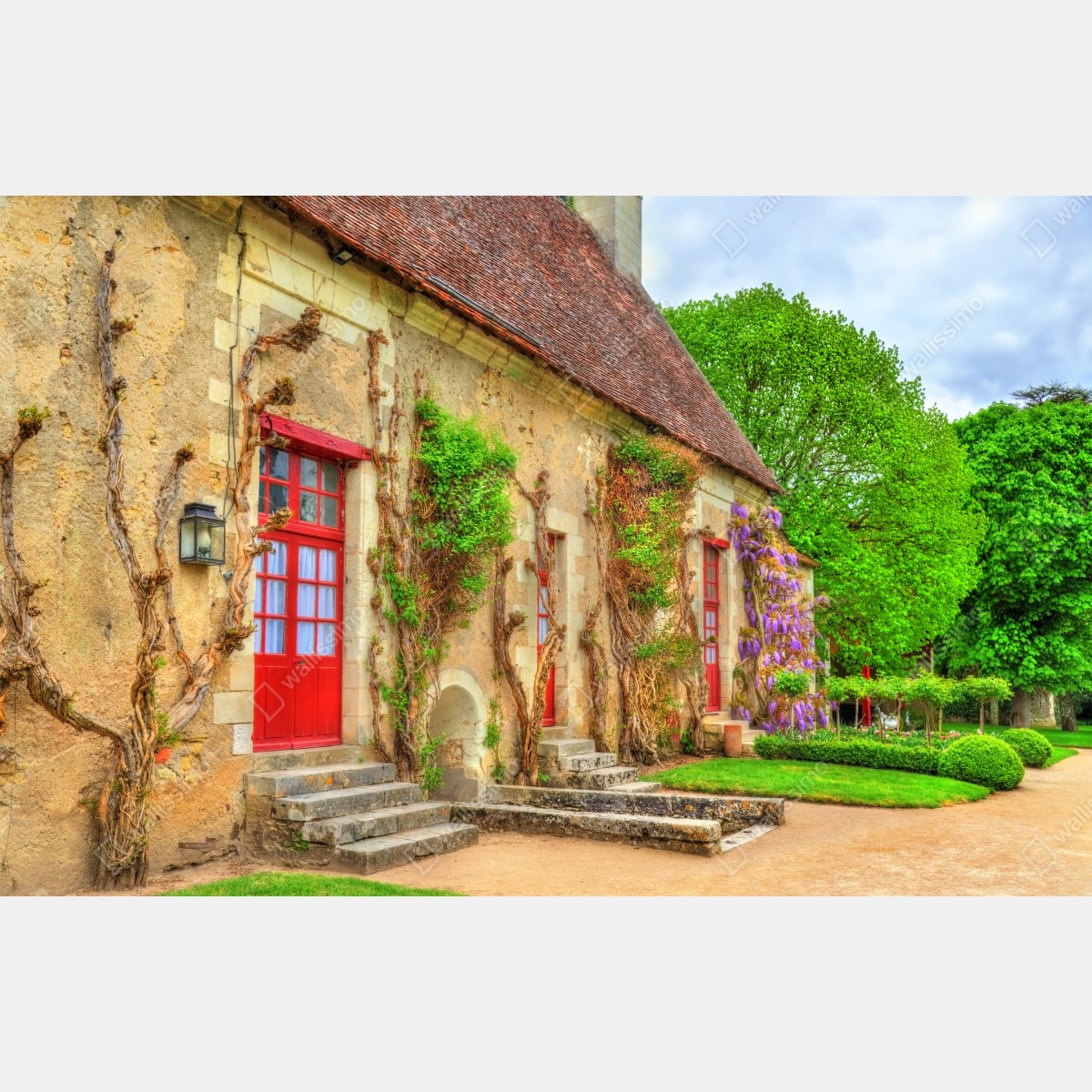 Fototapeta uroczy domek z kwitnącą glicynią – Wallissimo® Fototapeta uroczy domek z kwitnącą glicynią – Wallissimo®