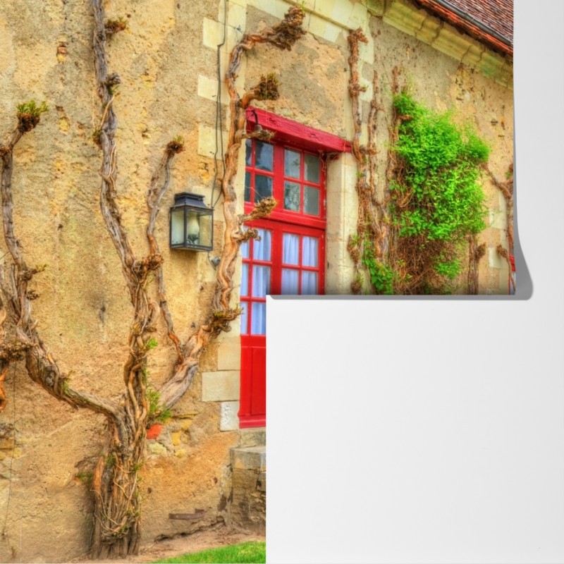 Fototapeta uroczy domek z kwitnącą glicynią – Wallissimo® Fototapeta uroczy domek z kwitnącą glicynią – Wallissimo®