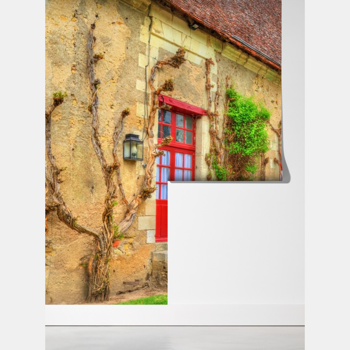 Fototapeta uroczy domek z kwitnącą glicynią – Wallissimo® Fototapeta uroczy domek z kwitnącą glicynią – Wallissimo®