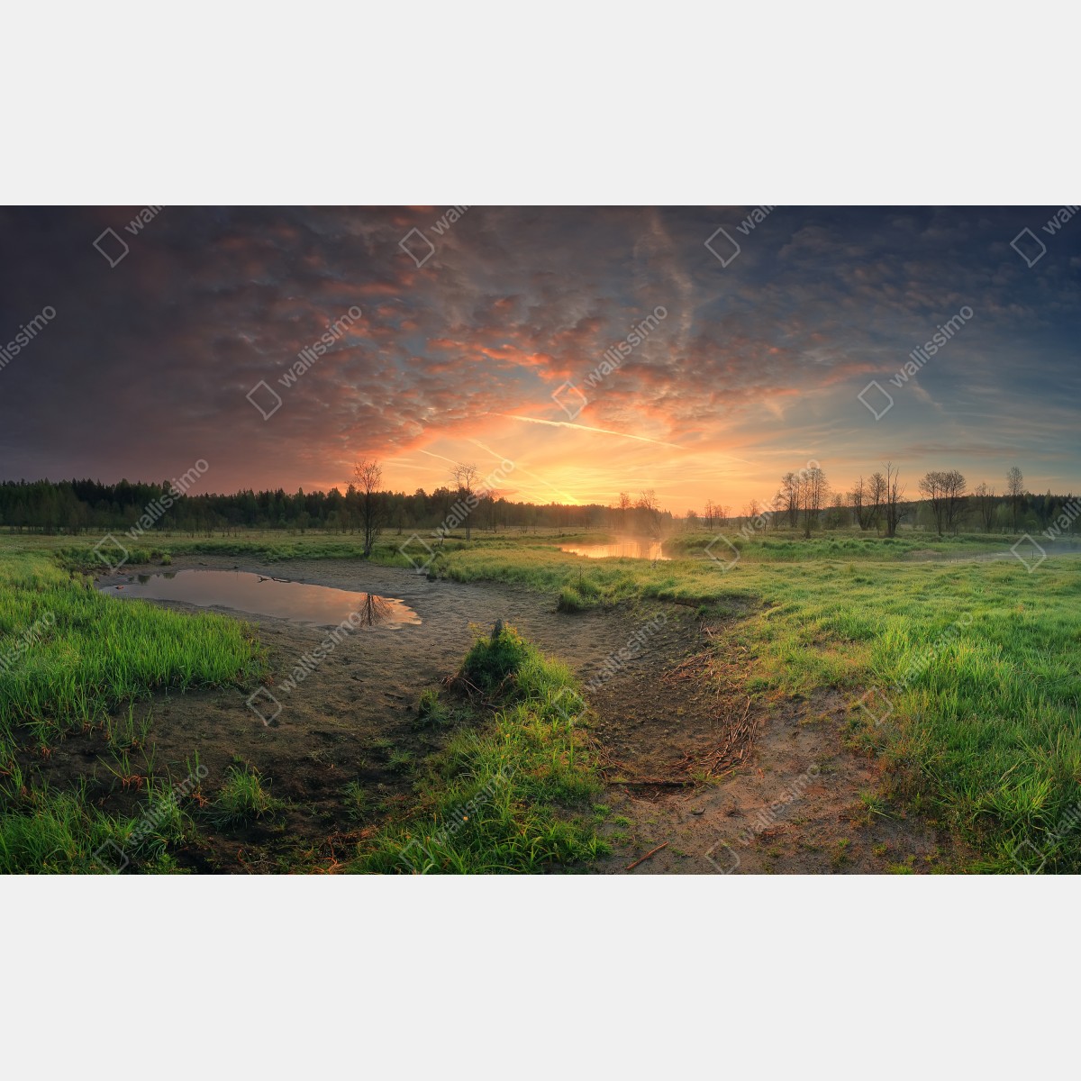 Fototapeta zachód słońca nad spokojną łąką – Wallissimo® Fototapeta zachód słońca nad spokojną łąką – Wallissimo®